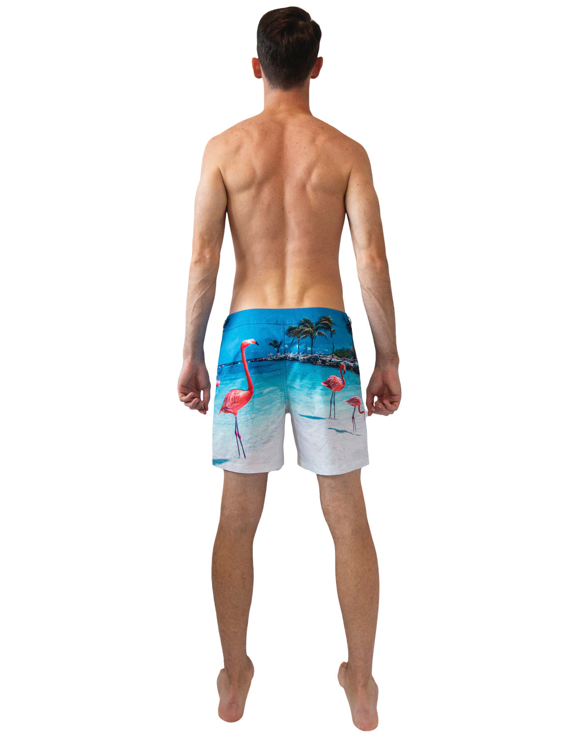 Rwenzori Flamingos swim shorts back view – men's tailored photo-print swim trunk featuring pink flamingos from Aruba