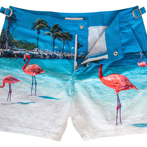 Flamingos