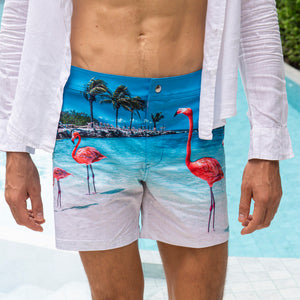 Flamingos