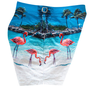 Flamingos